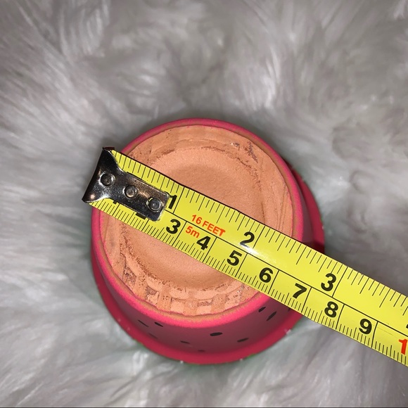 🎉HP!! 🍉NEW! Watermelon Hand Painted Flower Pot - Picture 13 of 15